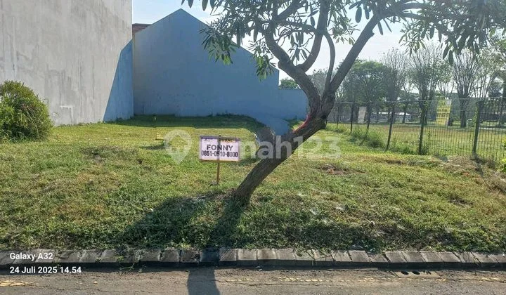 Special !!! Tanah Kavling Bukit Palma Citraland, Surabaya Barat, Jawa Timur Tanah di Cluster Bukit Palma Perumahan Citraland, Perumahan Citraland Cluster Bukit Palma, Jl. Made, Babat Jerawat, Pakal, Kota Surabaya, Jawa Timur, Indonesia, 60197, Citraland Special !!! Tanah Kavling Bukit Palma Citraland, Surabaya Barat, Jawa Timur Tanah di Cluster Bukit Palma Perumahan Citraland, Perumahan Citraland Cluster Bukit Palma, Jl. Made, Babat Jerawat, Pakal, Kota Surabaya, Jawa Timur, Indonesia, 60197, Citraland