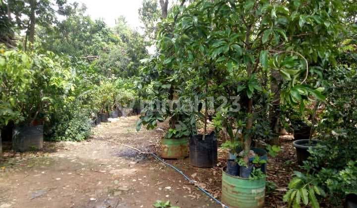 Dijual Murah tanah di kalideres