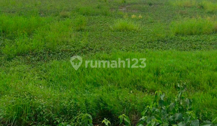 For Sale Cheap and Fast Land on Kemiri Main Road
