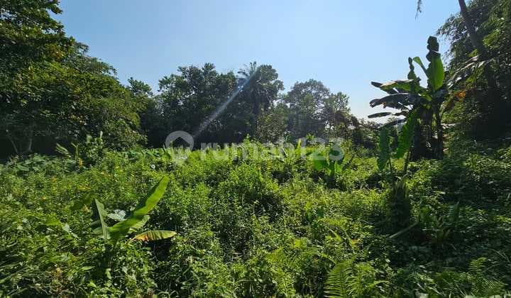Tanah Luas Dekat Perumahan Besar, Cocok Untuk Mini Cluster Pd025