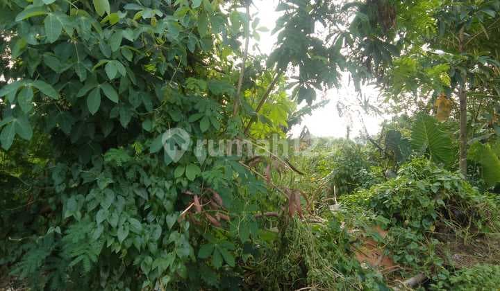 DIJUAL CEPAT TANAH MURAH DI PINGGIR JALAN PAMULANG