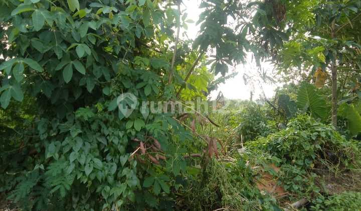 FOR SALE QUICK CHEAP LAND BY THE SIDE OF PAMULANG ROAD