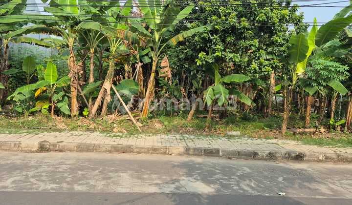 DISEWAKAN TANAH MURAH PINGGIR JALAN UTAMA DI PUSPITEK SERPONG