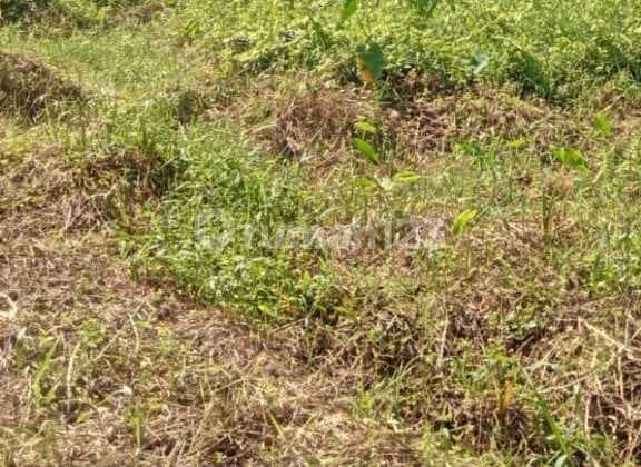 DIJUAL TANAH DIPINGGIR JALAN RAMAI BER SHM