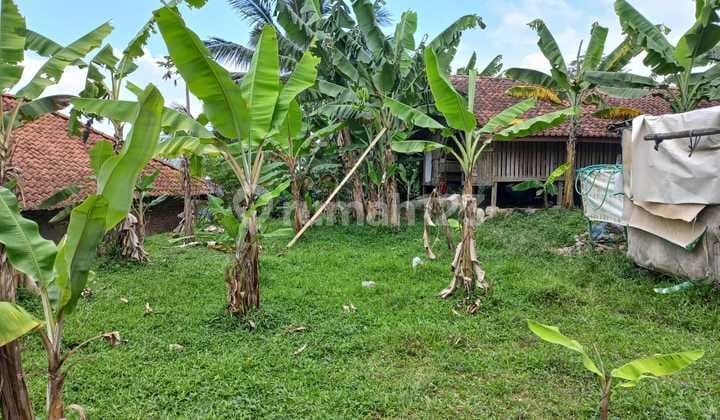 SELLING QUICK LAND BELOW MARKET PRICE IN BOGOR