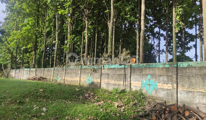 DIJUAL CEPAT TANAH MURAH LOKASI STRATEGIS DI BOGOR