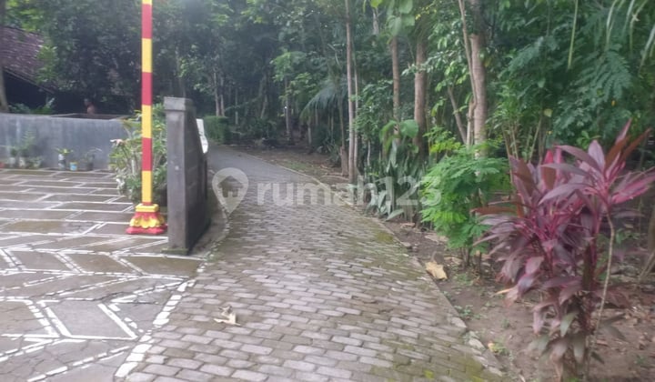 Tanah Pekarangan Dijual, Dekat Pasar Brosot, Lt 882m2