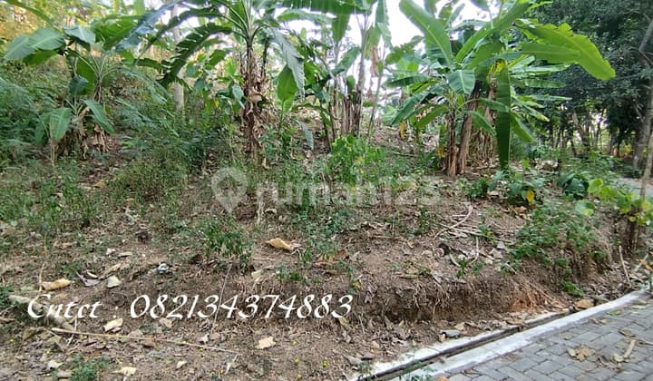 Tanah Dijual Dekat Greenwood Estate Semarang, Harga 350 Ribuan