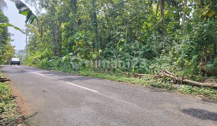 Tanah Dijual Dekat Paralayang Obelix Sea View, Cocok Untuk Villa, Lt 4465m2