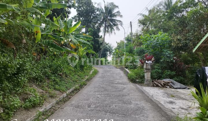 Dijual Tanah di Sedayu Yogya, Lt 350m2