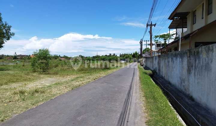 Dijual Tanah Dekat Rsud Wates, Lt 180m2