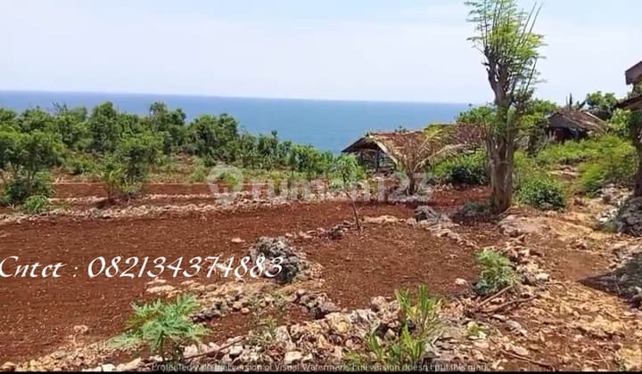 Tanah dijual di Pantai Ngrumpon Gunung Kidul, cocok untuk villa