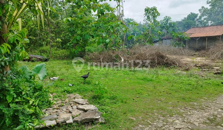 Dijual tanah di Pajangan Bantul dekat Bakal Kampus UIN, cocok untuk usaha kost