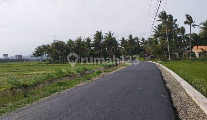 Dijual Tanah Ditepi Jalan Ke Pantai Glagah, Dekat Bandara Yia