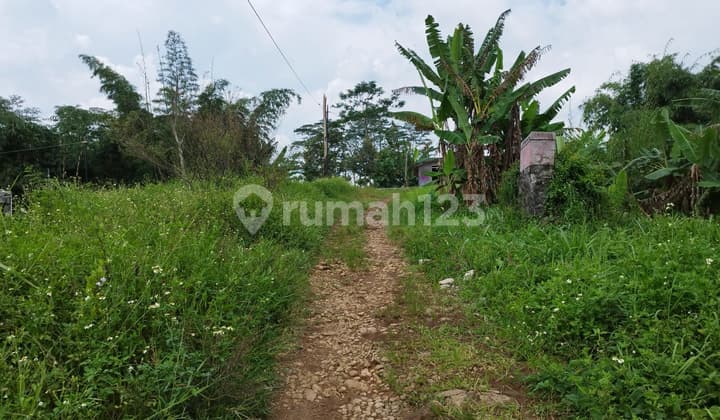 Large Land for Sale in Tampingan, Boja, Kendal, Central Java, Land Area 3-5 Hectares