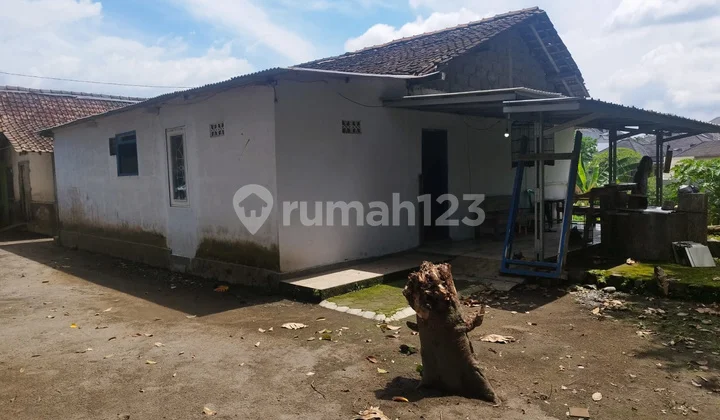 Disewakan Rumah di Sendangadi, Timur Rm Pringsewu, Dekat Sleman City Hall