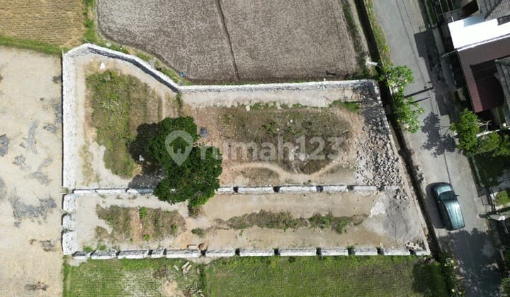 Tanah Apik Area Jl. Damai Lingkungan Cafe Dan Homestay View Sawah