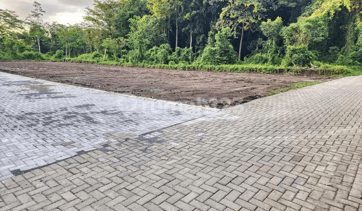 Siap Bangun Kos Tanah Ring 1 Kampus Uii Area Jl. Kaliurang Km 13 Sleman Jogja
