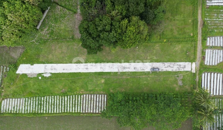 Dijual Tanah Bagus Ringroad Utara Area Fly Over Jombor Dekat Kampus UTY Dan RSA UGM Trihanggo