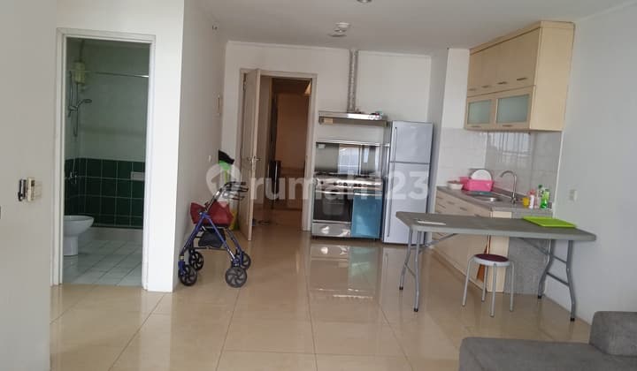 Paladian Park Apartment
