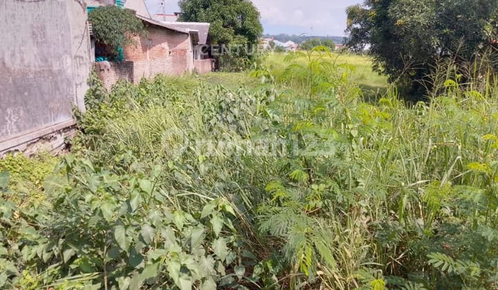 Tanah Cocok untuk Perumahan atau Ruko di Lemahabang Cirebon S8882