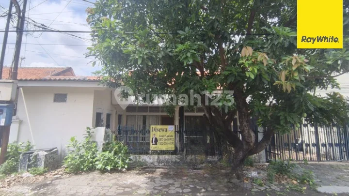 Disewakan Rumah di Ketintang Baru Surabaya Disewakan Rumah di Ketintang Baru Surabaya