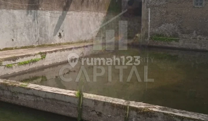 Pond Land in Garut Near Hot Springs Suitable for Villa Investment and Others Pond Land in Garut Near Hot Springs Suitable for Villa Investment and Others