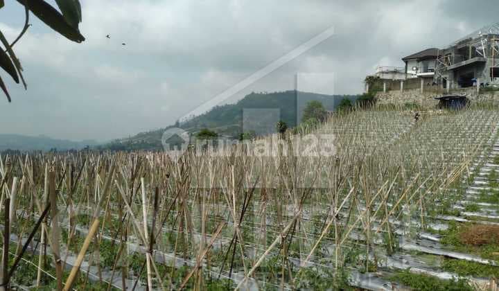 Tanah Kavling Di Cikole Lembang View Bandung, Cakep Banget Udara Sejuk