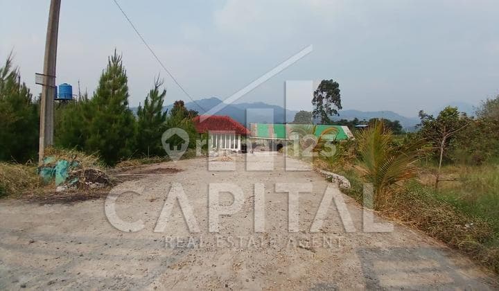 TURUN HARGA! Tanah Kebun di Ciwidey Cocok Untuk Perkebunan atau Dibangun Villa