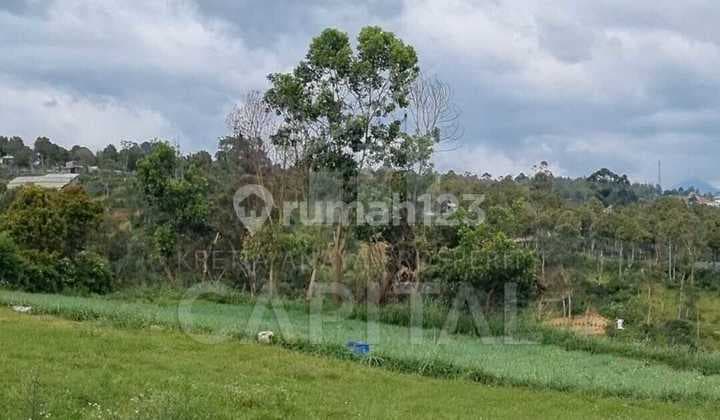 Tanah Cocok untuk Villa Kebun dan Peternakan di Sayap Kolonel Masturi