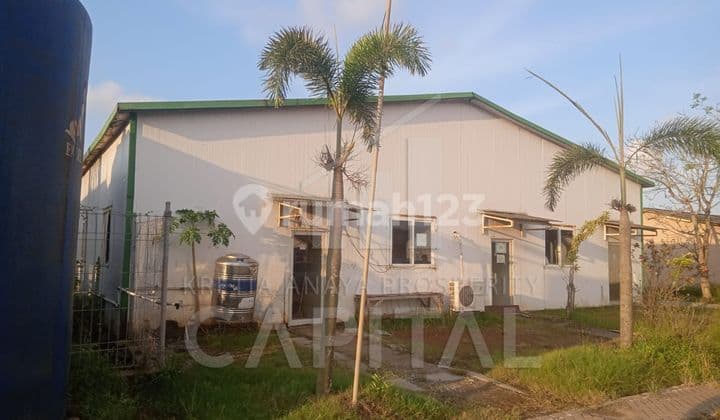 Sebidang Tanah Luas di Daerah Lontar Tanggerang