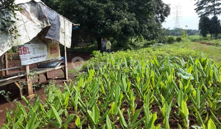 Ready-to-Build Plot Strategically Located by the Road @Cikeas