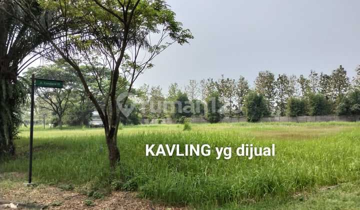 Kavling Siap Bangun,hoek,suvarna Padi,lingkungan Hijau