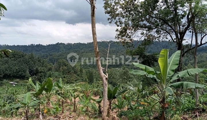 Dijual Tanah Di Karang Tengah Sentul Bogor Harga Di Bawah Njop