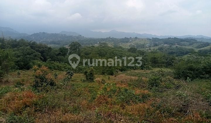 Dijual Tanah di Pabuaran Cibadak Sukamakmur Bogor