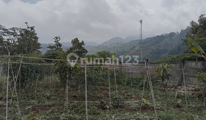 Dijual Tanah Di Bojong Koneng Dekat Ri 1