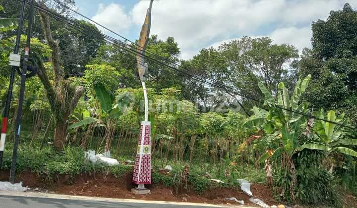 Dijual Tanah Pinggir Jln Raya Cijayanti Sentul Bogor