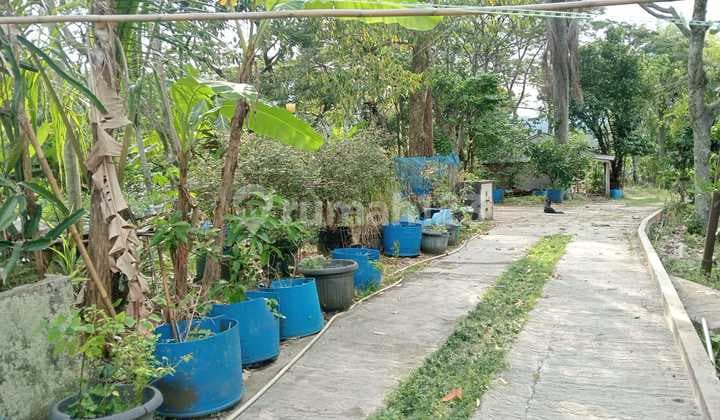 Dijual Tanah Di Gunung Geulis Bonus Bangunan Vila