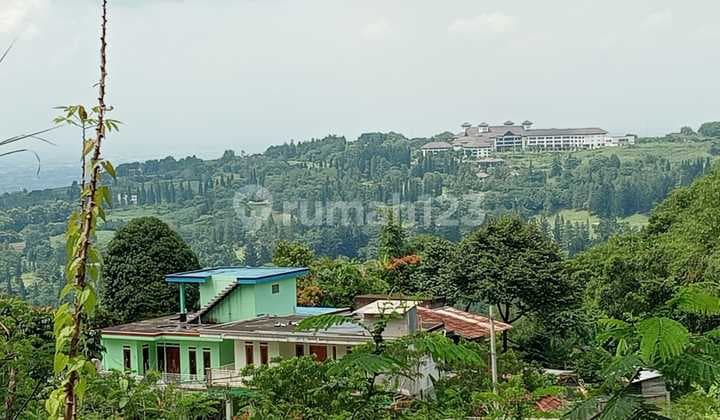 Dijual Tanah Di Gunung Geulis Pasir Angin Bogor