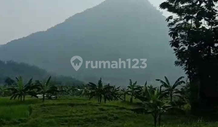 Tanah Dijual Best View Di Bojong Koneng Sentul City Bogor