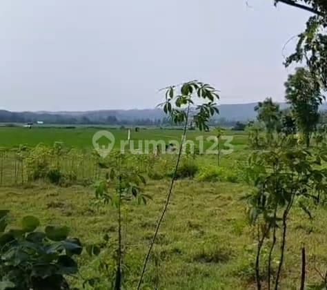 Dijual Tanah di Kalapanunggal Kec Cilenungsi Bogor