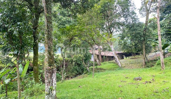 Dijual Tanah Di Gunung Geulis Dekat Summarecon Bogor