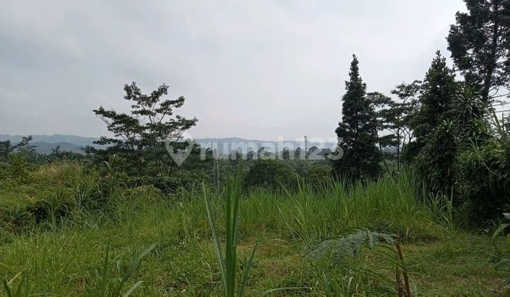 Dijual Tanah di Cijayanti Sentul City Bogor
