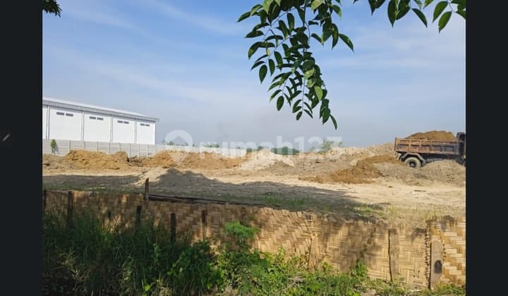 Dijual Murah Tanah Sintis 2 Juta m Nego Halus