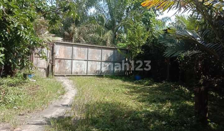 Di Jual Murah Kebun Buah Daerah Brahrang