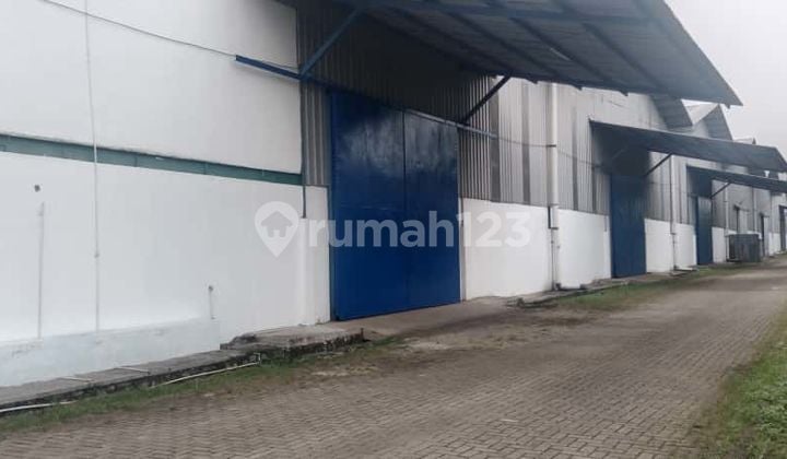 Disewakan Gudang Bersama di Cikupa Tangerang. Hubungi Ingche. 0877xxxxxxxx