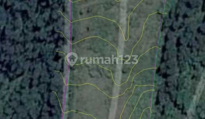 Jual Cepat Tanah Luas di Dekat Dusun Bambu Bandung Barat