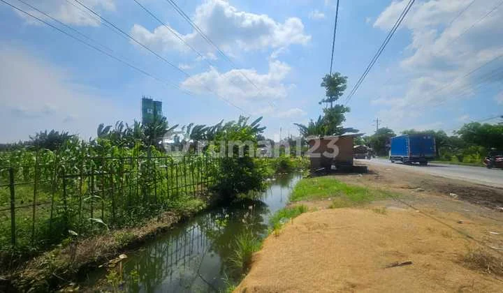 Dijual Tanah Dekat Pabrik Semen Grobogan