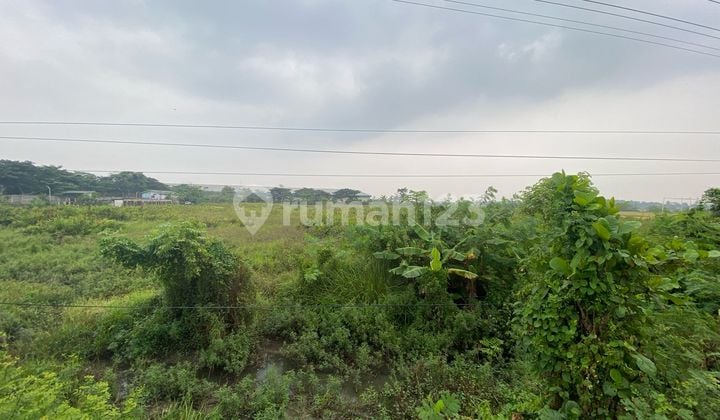 DIJUAL TANAH SAWAH JALAN PANTURA PEKALONGAN