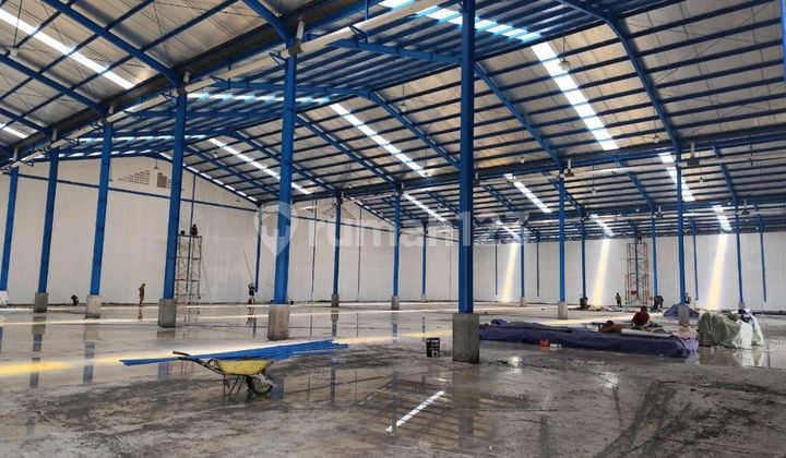 Disewa Gudang 3000M Brandnew Kapuk Jakarta Utara